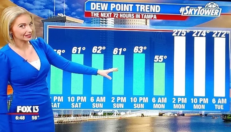 Brittany Rainey was wearing blue dress in front her weather live telecast. What happened to Brittany on Fox 13?